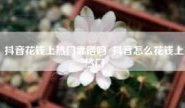 抖音花钱上热门靠谱吗  抖音怎么花钱上热门