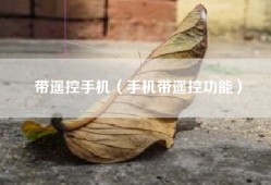 带遥控手机（手机带遥控功能）