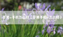 苹果se手机怎么样（平果手机se怎么样）