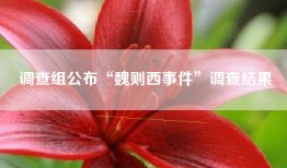 调查组公布“魏则西事件”调查结果