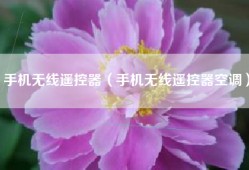 手机无线遥控器（手机无线遥控器空调）