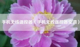手机无线遥控器（手机无线遥控器空调）