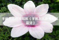 手机怎么连接耳机（手机怎么连接耳机蓝牙）