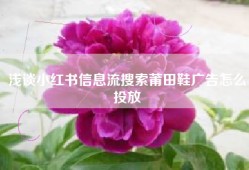 浅谈小红书信息流搜索莆田鞋广告怎么投放