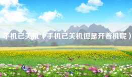 手机已关机（手机已关机但是开着机呢）