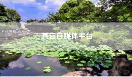 其它自媒体平台