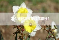 怎么通过写文章投稿赚钱？