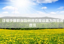 详细步骤教你如何将百度设置为浏览器首页