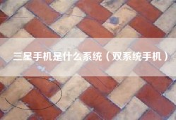 三星手机是什么系统（双系统手机）