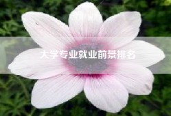 大学专业就业前景排名