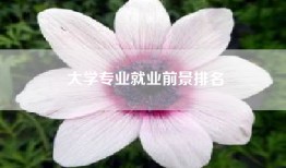 大学专业就业前景排名