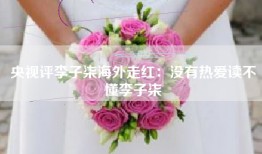 央视评李子柒海外走红：没有热爱读不懂李子柒