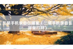 三星手机录音在哪里（三星手机录音在哪里打开）