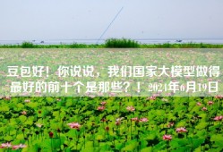 豆包好！你说说，我们国家大模型做得最好的前十个是那些？！2024年6月19日