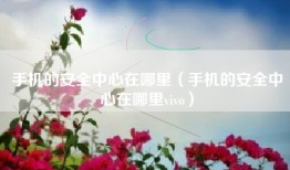 手机的安全中心在哪里(手机的安全中心在哪里vivo)
