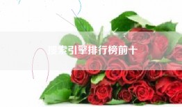 搜索引擎排行榜前十