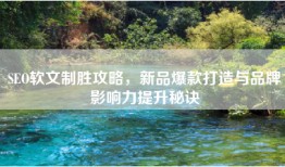 SEO软文制胜攻略，新品爆款打造与品牌影响力提升秘诀