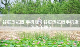 谷歌浏览器 手机版（谷歌浏览器手机版怎么下载）