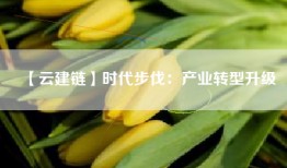 【云建链】时代步伐：产业转型升级