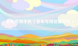 老年专用手机（老年专用智能手机）
