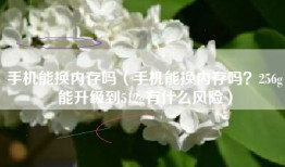 手机能换内存吗（手机能换内存吗？256g能升级到512g有什么风险）