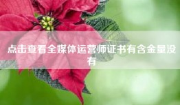 点击查看全媒体运营师证书有含金量没有