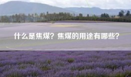 什么是焦煤？焦煤的用途有哪些？