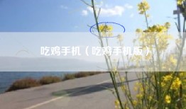 吃鸡手机（吃鸡手机版）