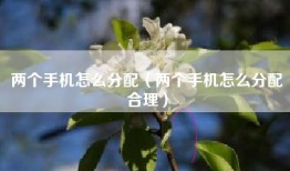 两个手机怎么分配(两个手机怎么分配合理)