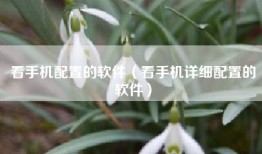 看手机配置的软件（看手机详细配置的软件）