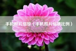 手机照片缩放（手机照片缩放比例）