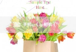 手机ag（agc相机）
