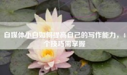 自媒体小白如何提高自己的写作能力，4个技巧需掌握