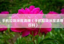 手机垃圾深度清理（手机垃圾深度清理百科）