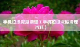 手机垃圾深度清理（手机垃圾深度清理百科）