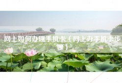 网上如何办理手机卡（网上办手机卡步骤）