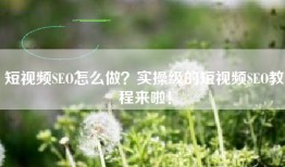 短视频SEO怎么做？实操级的短视频SEO教程来啦！