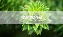 搜狗微信平台