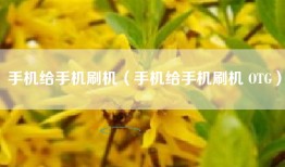 手机给手机刷机（手机给手机刷机 OTG）
