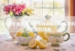 2024河北最好的十大专科学校！看最好的高职院校排名