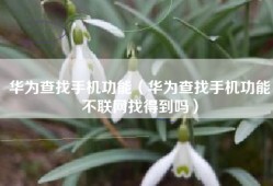 华为查找手机功能（华为查找手机功能不联网找得到吗）