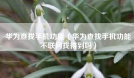 华为查找手机功能（华为查找手机功能不联网找得到吗）