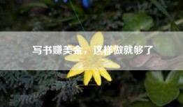 写书赚美金，这样做就够了