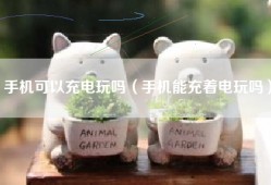 手机可以充电玩吗（手机能充着电玩吗）
