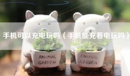 手机可以充电玩吗（手机能充着电玩吗）