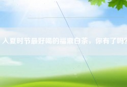入夏时节最好喝的福鼎白茶，你有了吗？