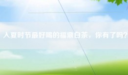 入夏时节最好喝的福鼎白茶，你有了吗？