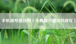 手机靓号值钱吗（手机靓号值钱吗现在）