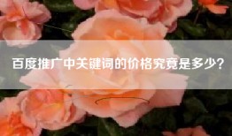 百度推广中关键词的价格究竟是多少？