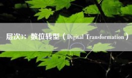 层次3：数位转型（Digital Transformation）